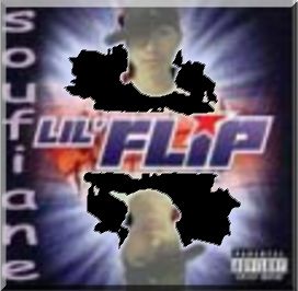 flip